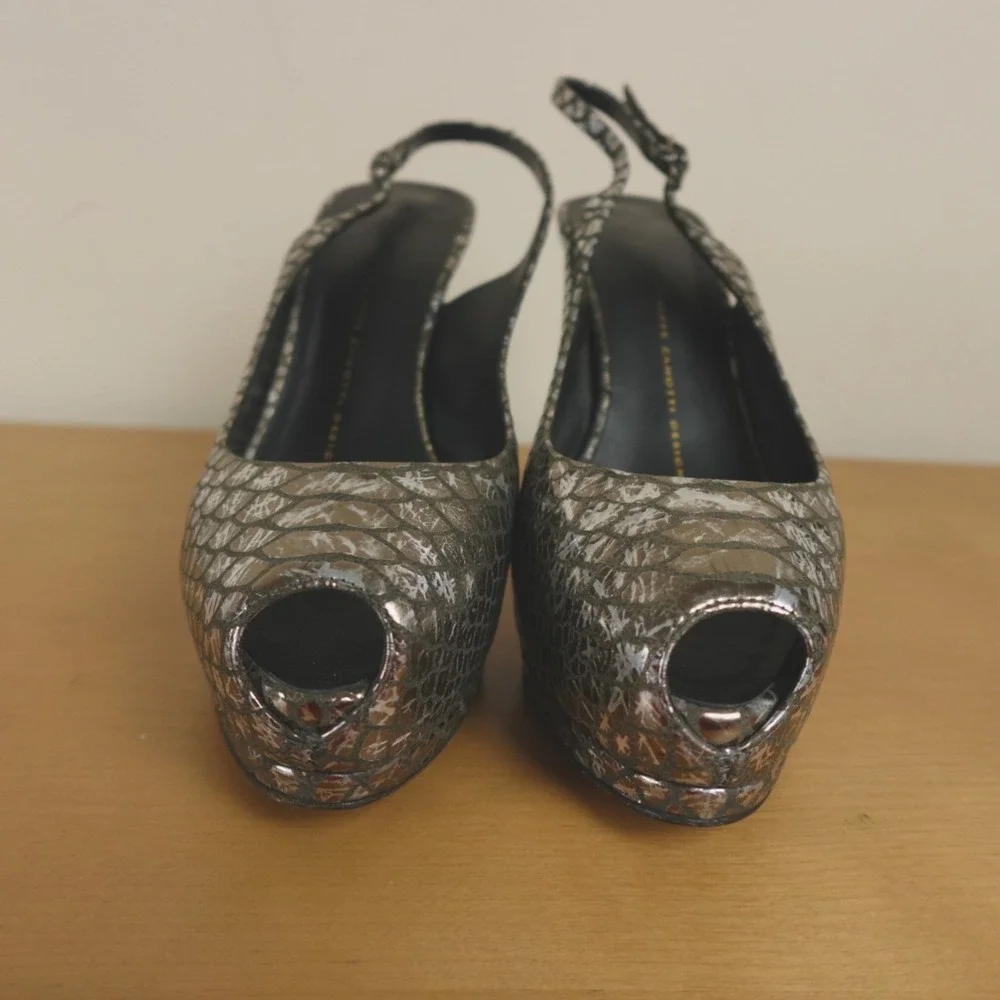 Giuseppe Zanotti giuseppe zanotti